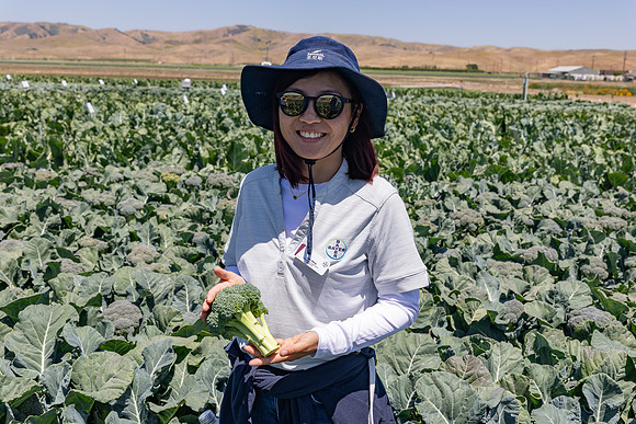 Stratosphere_Brocolli_84