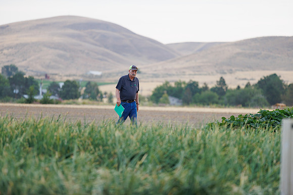 Seminis2022_Idaho_1906