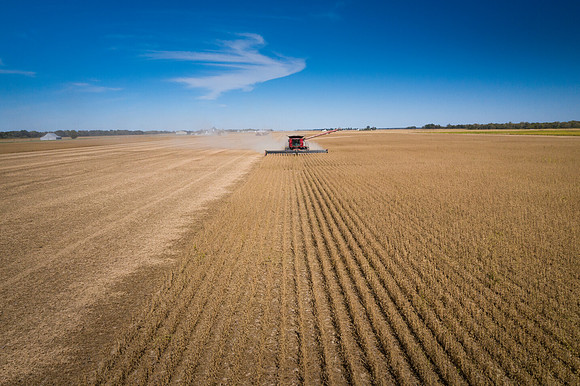 NL_Soybean_Harvest_2019_d_40