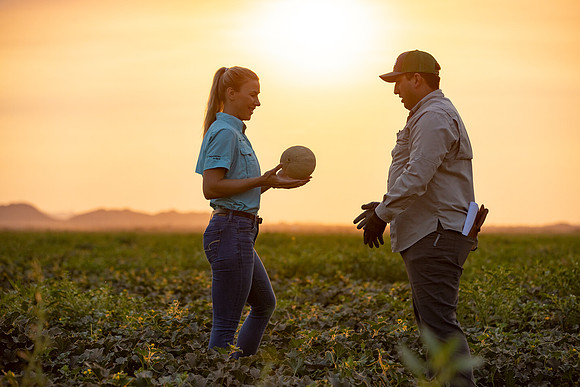 Seminis2021_AZ_627