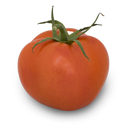 Tomato_DRTC1053_184