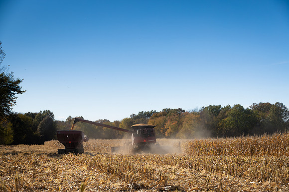 NL_Corn_Harvest_2019_c_77