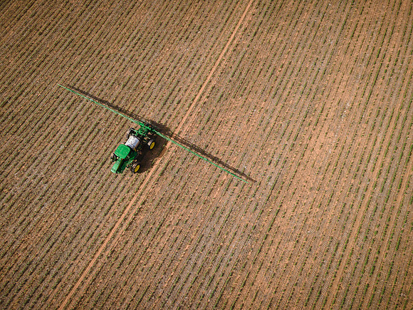 RRXCottonTexas_cdp_5339