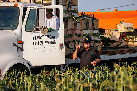 Seminis2022_FL_JEM_947