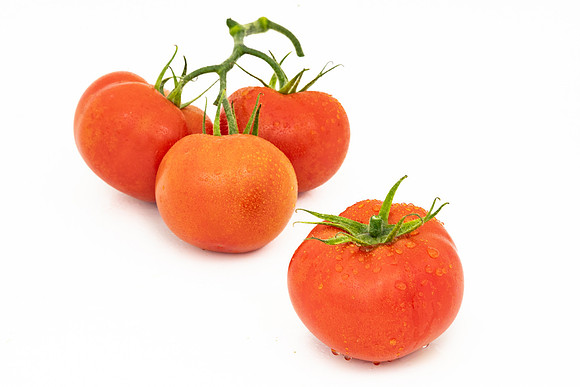 Tomatoes_DRTH1053_75