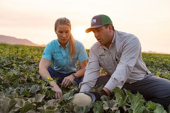 Seminis2021_AZ_509