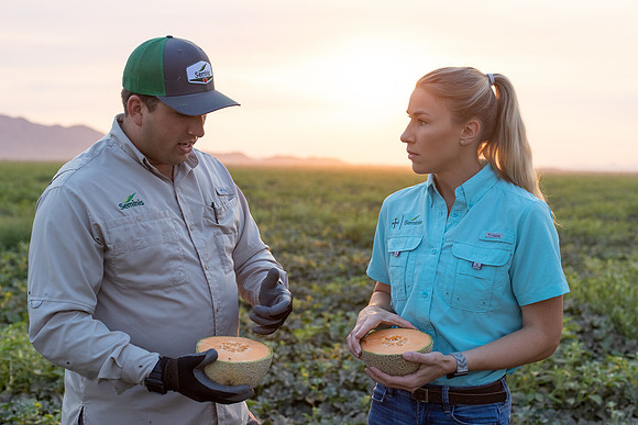 Seminis2021_AZ_340