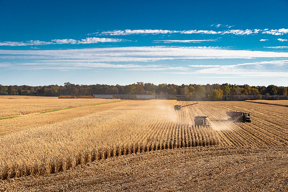 NL_Corn_Harvest_2019_c_424