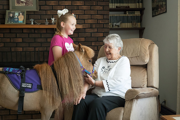 AmericasFarmers_HeartlandMiniHorses_257