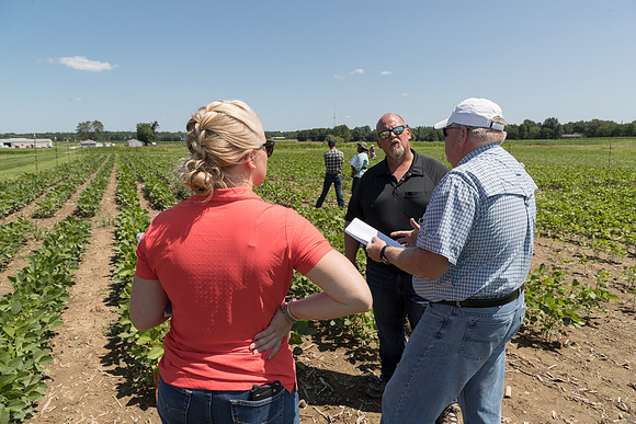 NL_Soybeans_072319_Carbondale_09