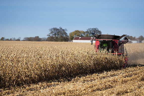 NL_Corn_Harvest_2019_c_38