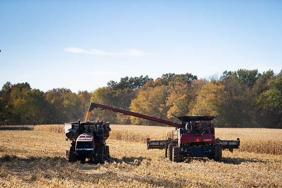 NL_Corn_Harvest_2019_c_91