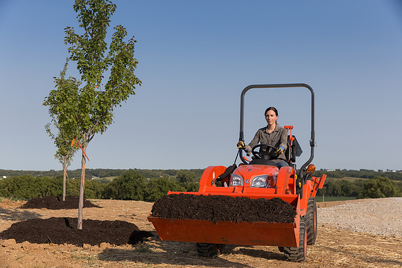 Kubota_BX25D_CDP2015_1385-2