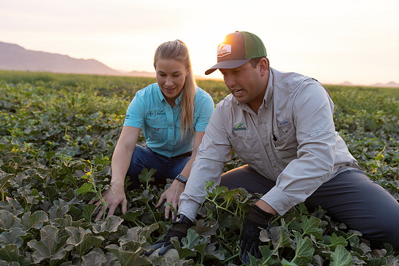 Seminis2021_AZ_468