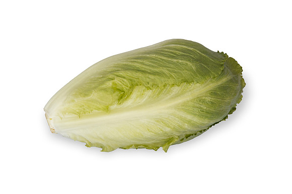 Lettuce_SV2988LG_CA_0099