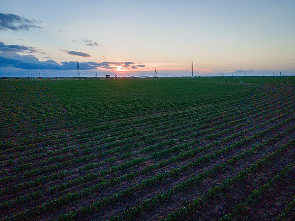RRXCottonTexas_cdp_4606-HDR