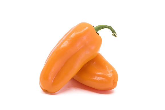 Pepper_Katzi_1