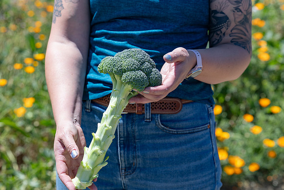 Skymark_Broccoli_118