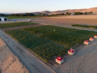 Seminis2022_Idaho_14
