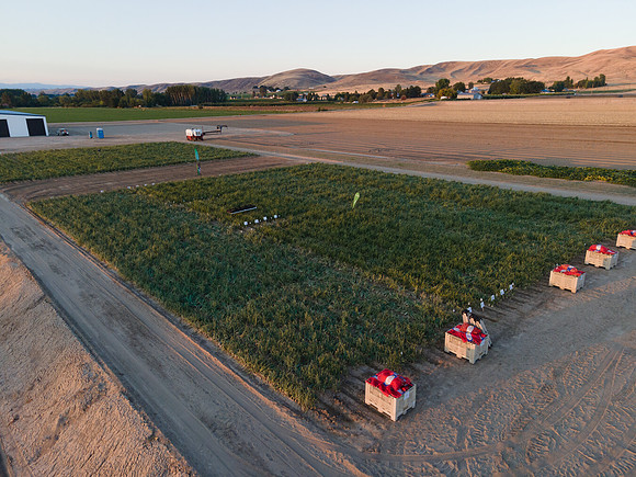 Seminis2022_Idaho_14