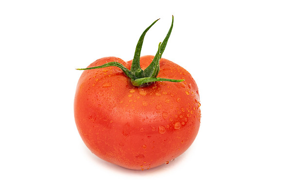 Tomatoes_DRTH1054_104