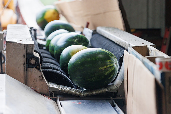 Seminis2022_FL_JEM_3564