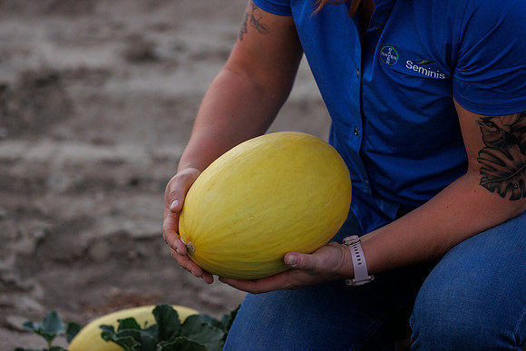 Seminis2022_Idaho_594