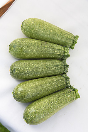 Squash_Adelita_MX_Group_0007