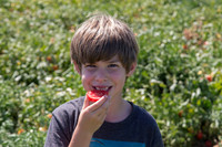 Tomato_SV8516TM_CA_00021