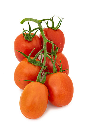Tomatoes_DRTH4077_24