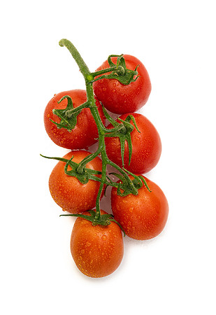 Tomatoes_DRTH4077_37