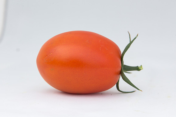 Tomato_4179_MX_0090