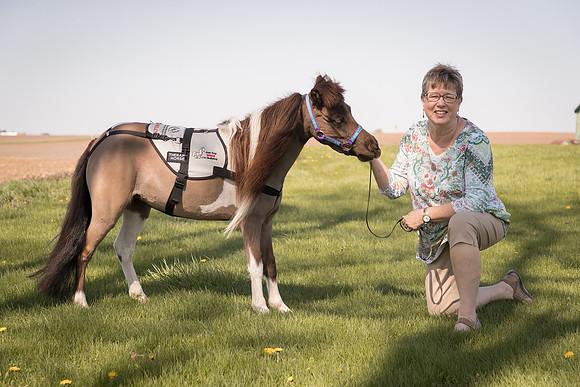 AmericasFarmers_HeartlandMiniHorses_685