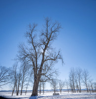 CDPg_4073p