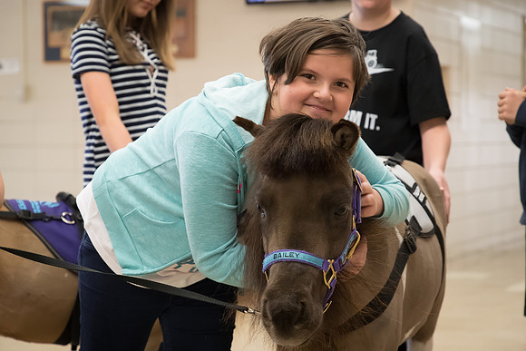 AmericasFarmers_HeartlandMiniHorses_621