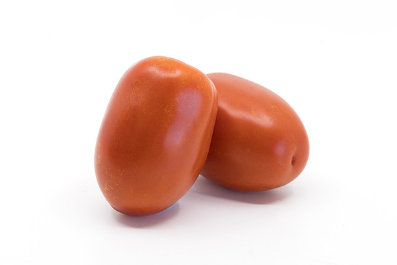 Tomato_N6459_4