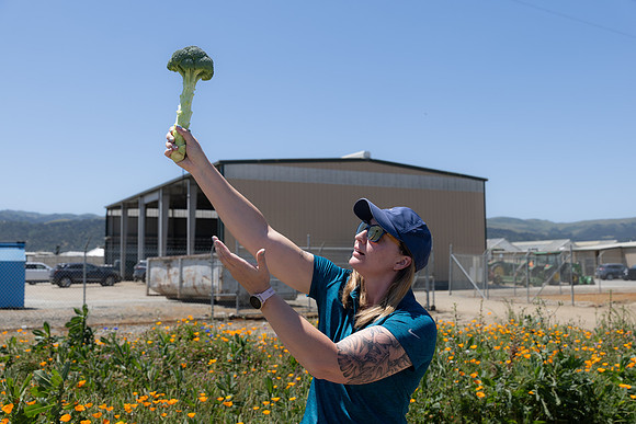 Skymark_Broccoli_122