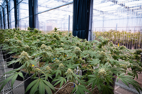 CDPh_328