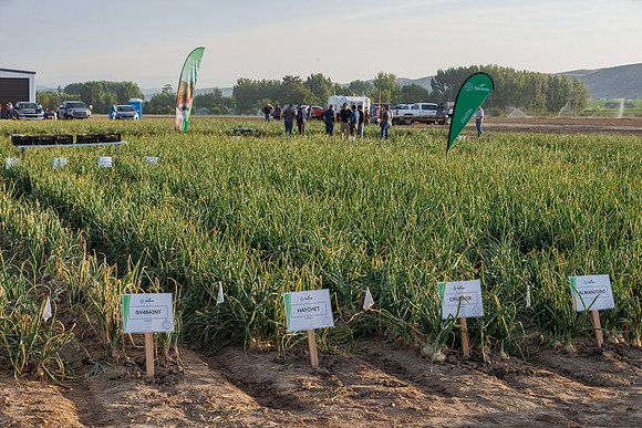Seminis2022_Idaho_1554