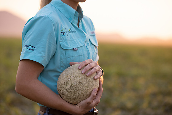 Seminis2021_AZ_659