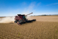 NL_Soybean_Harvest_2019_d_50