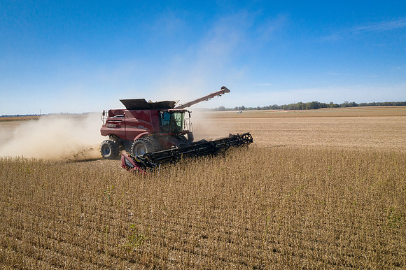 NL_Soybean_Harvest_2019_d_50