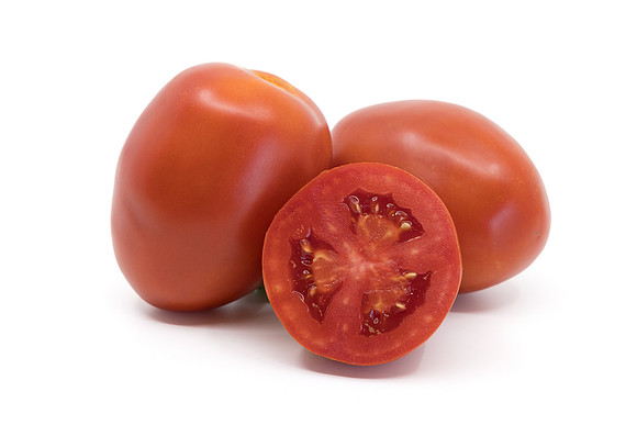 Tomato_N6473_14