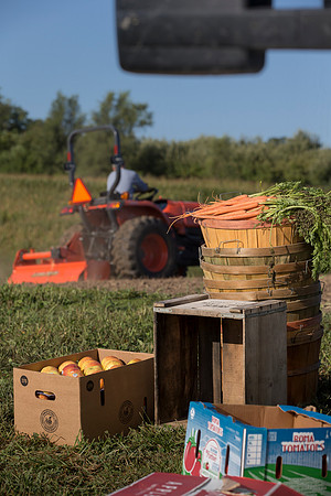 Kubota_L2501_CDP2015_0246