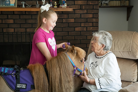 AmericasFarmers_HeartlandMiniHorses_278