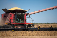 NL_Soybean_Harvest_2019_c_18