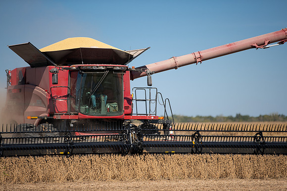 NL_Soybean_Harvest_2019_c_18