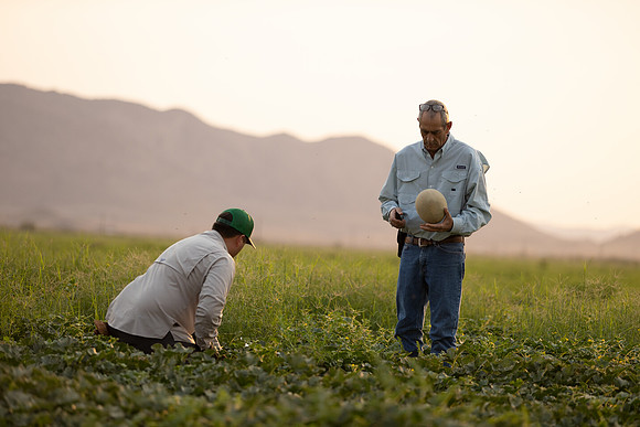 Seminis2021_AZ_1322