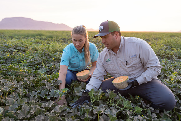 Seminis2021_AZ_414