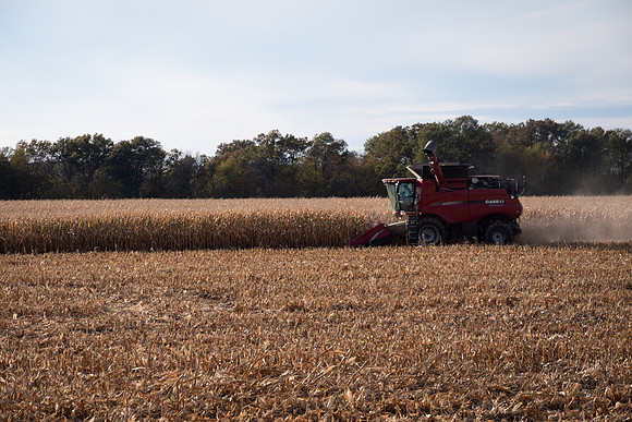 NL_Corn_Harvest_2019_b_3